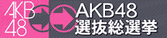 AKB48II